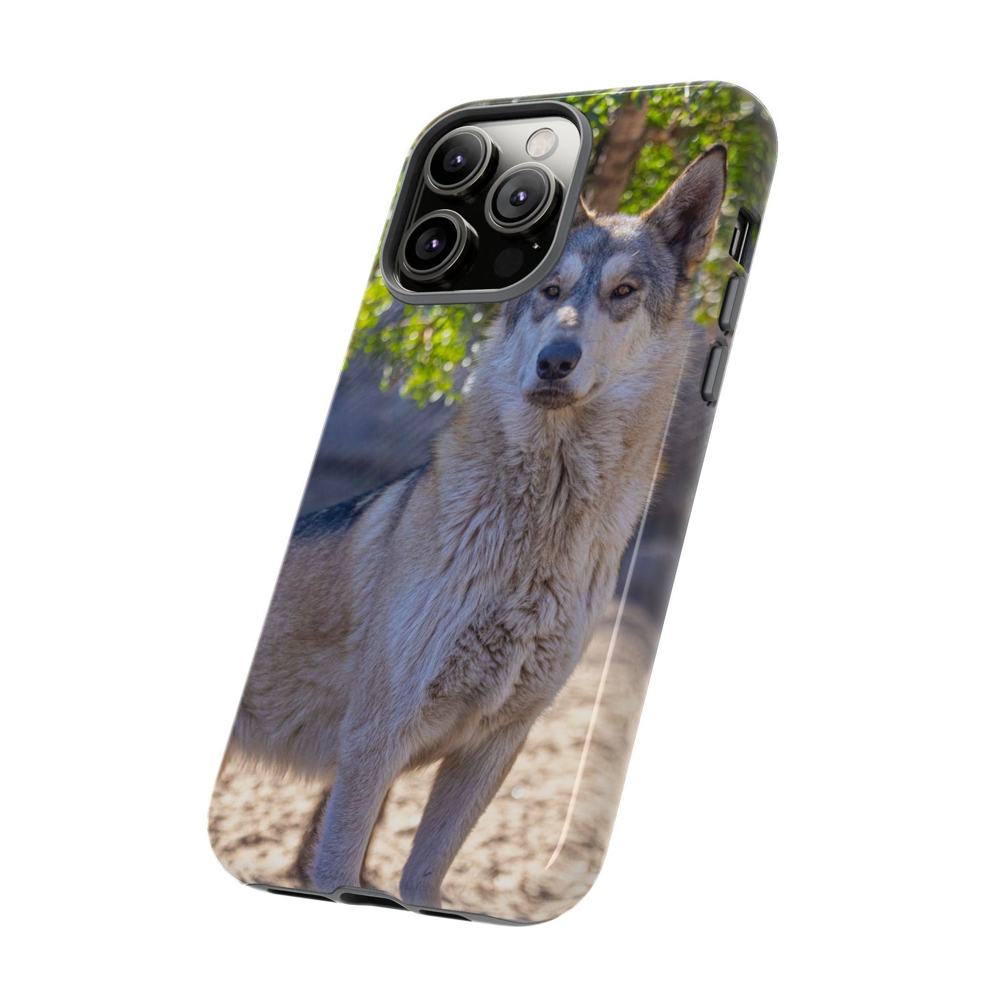 Rome Phone Case