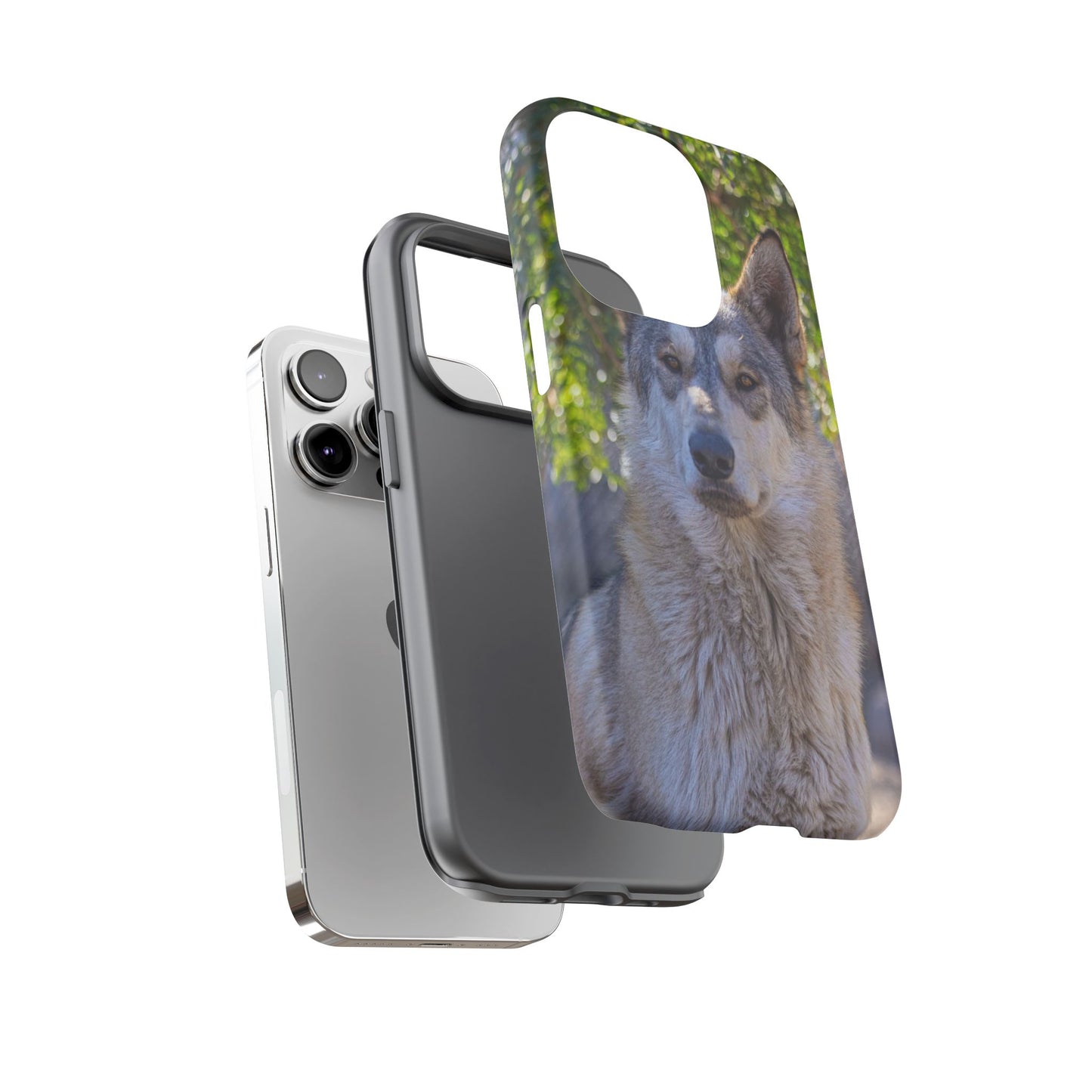 Rome Phone Case