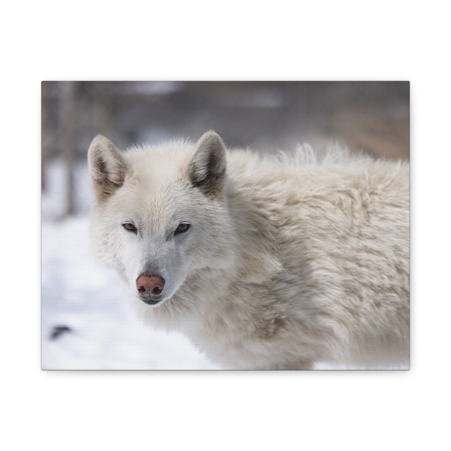 Annie Canvas Print