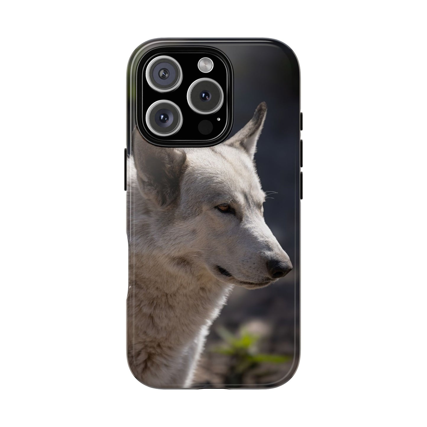 Beo Phone Case