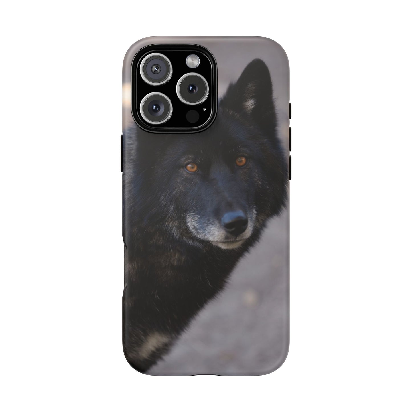 Lakota Phone Case