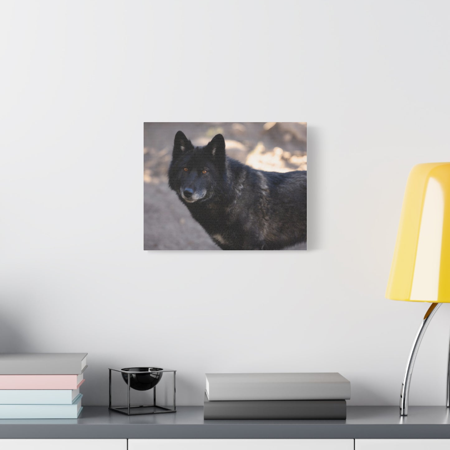 Lakota Canvas Print