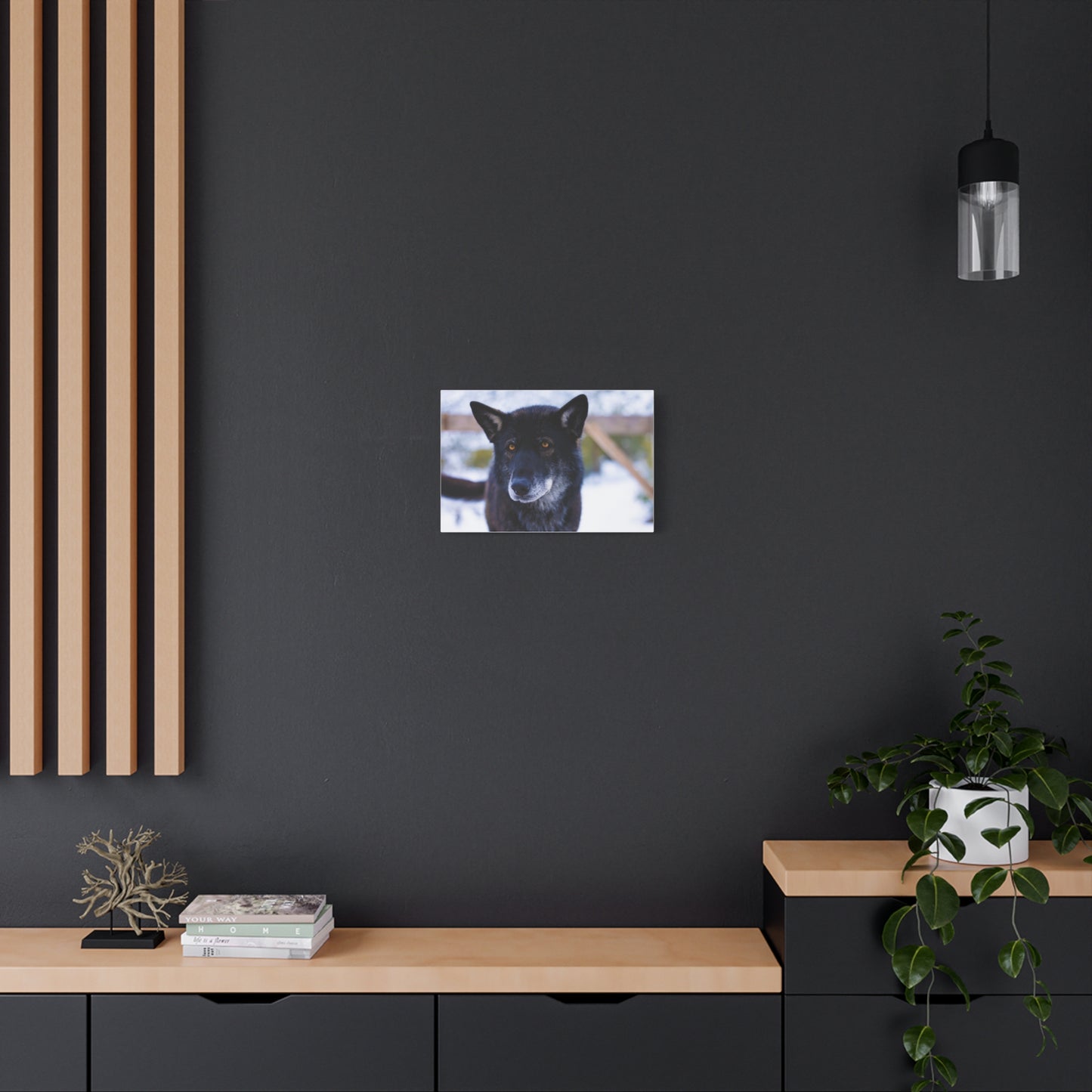 Gemma Canvas Print