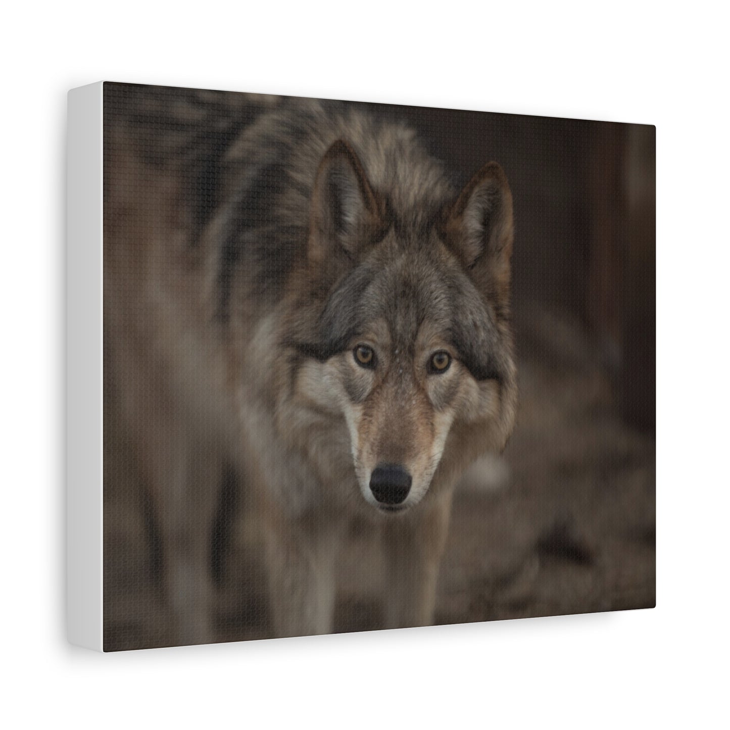 Nali Canvas Print