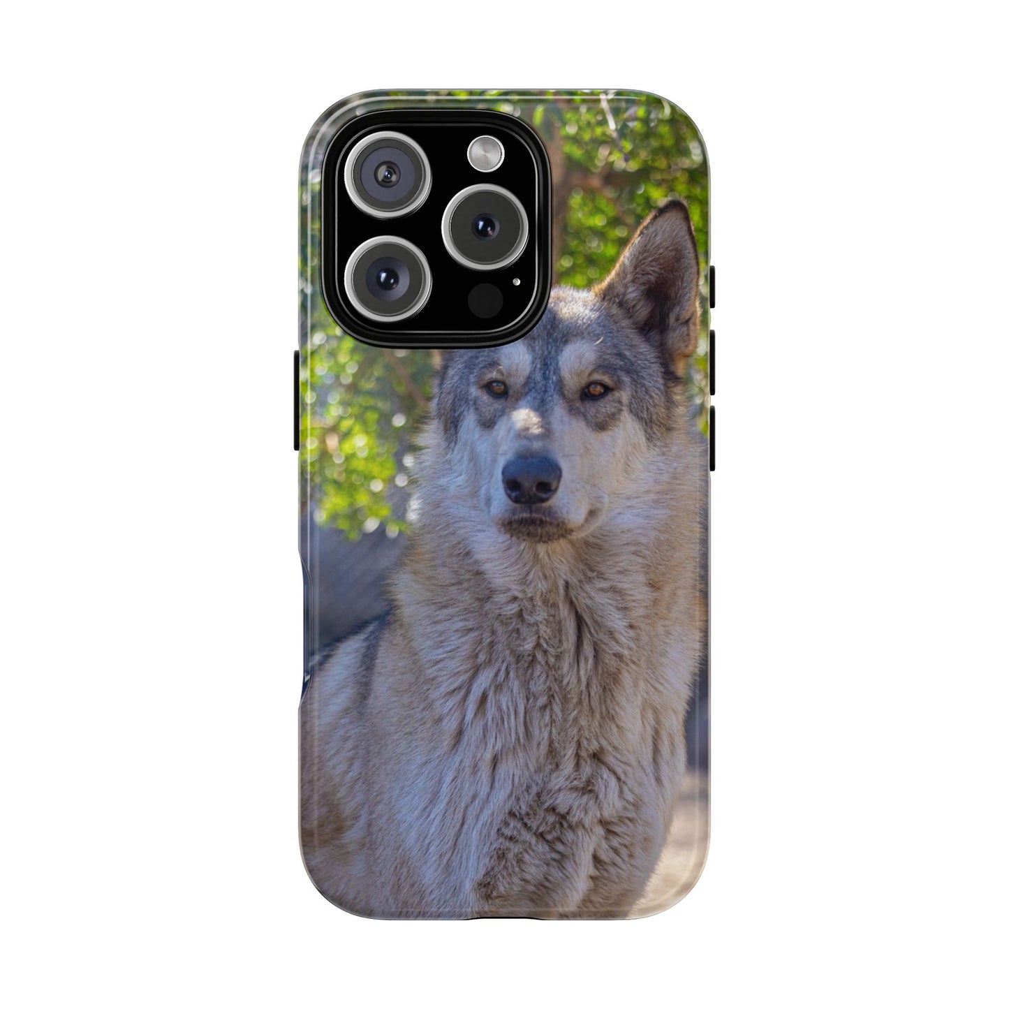 Rome Phone Case