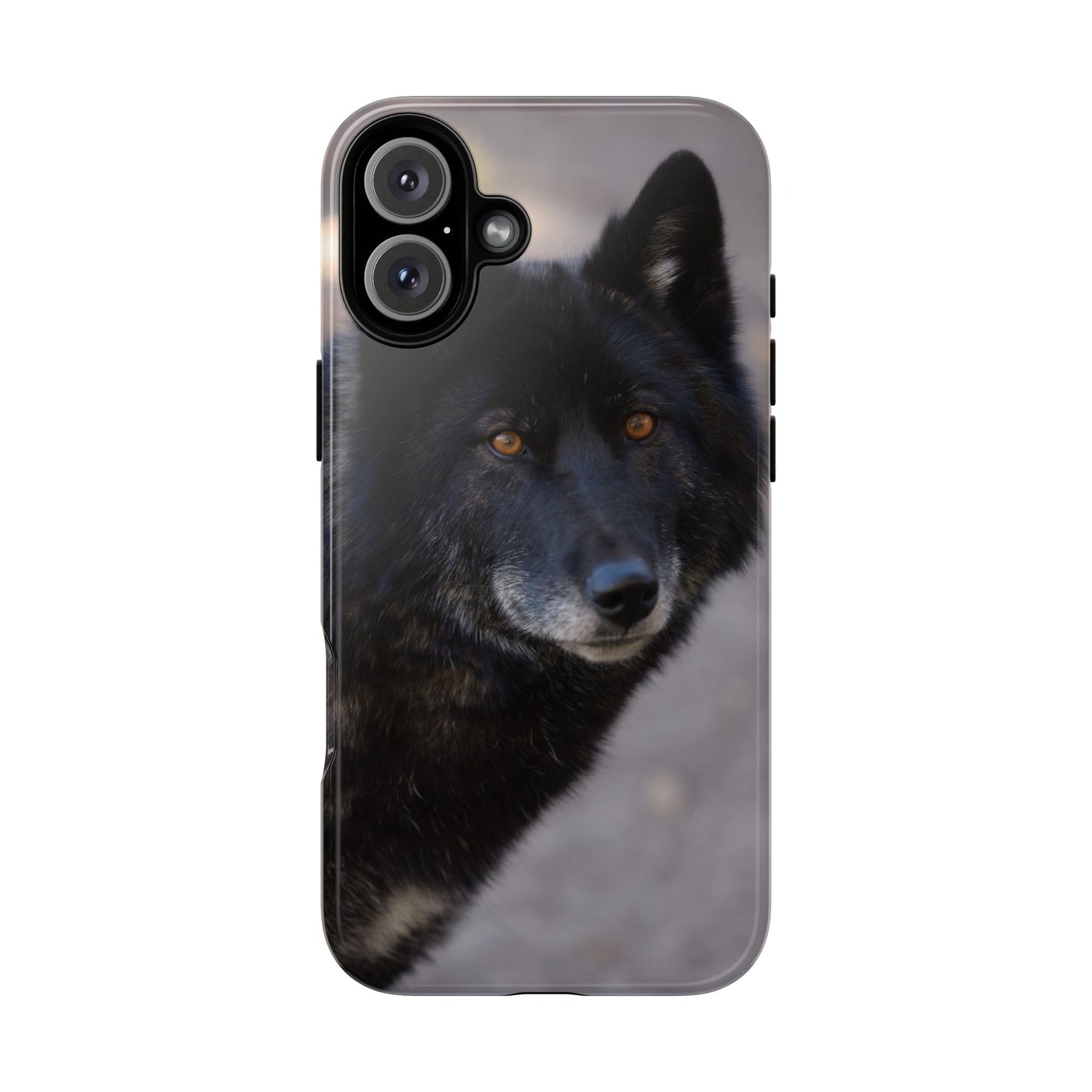 Lakota Phone Case