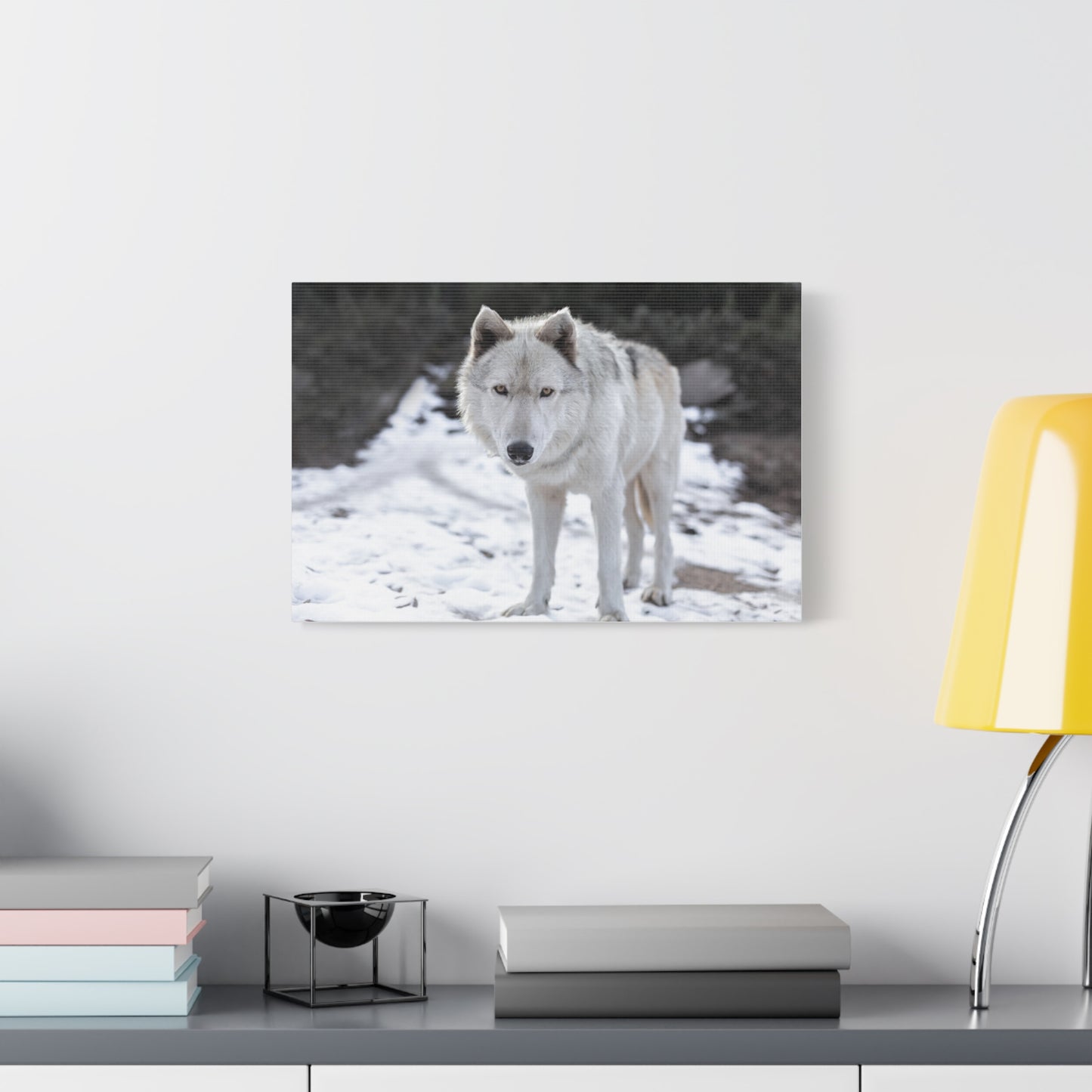 Leo Canvas Print