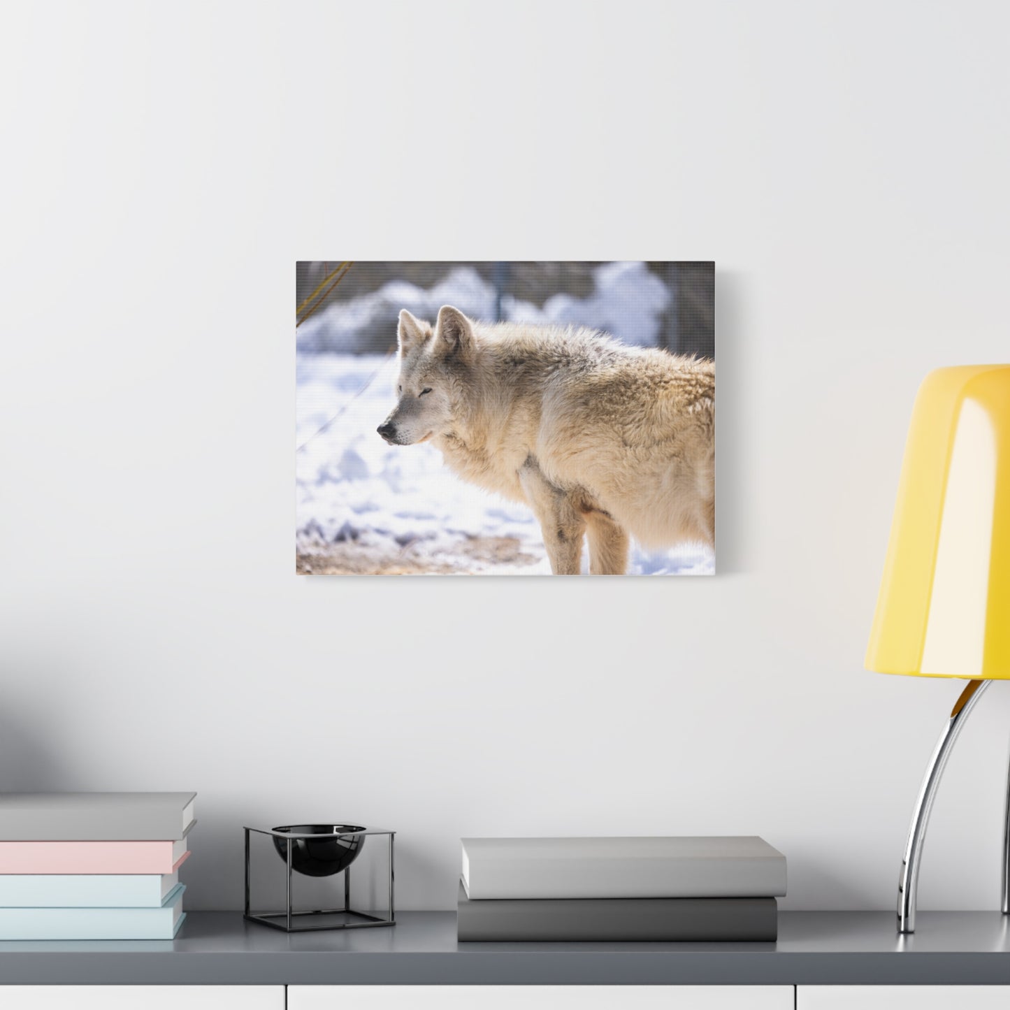 Max Canvas Print