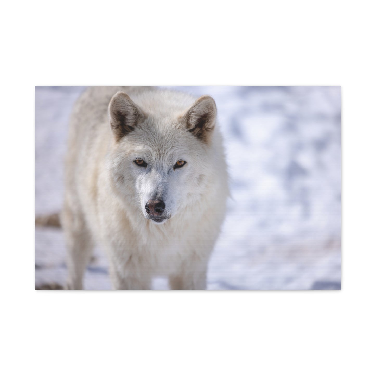 Charlee Canvas Print