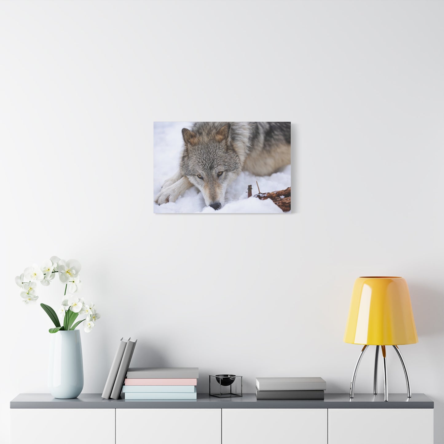 Nukumi Canvas Print