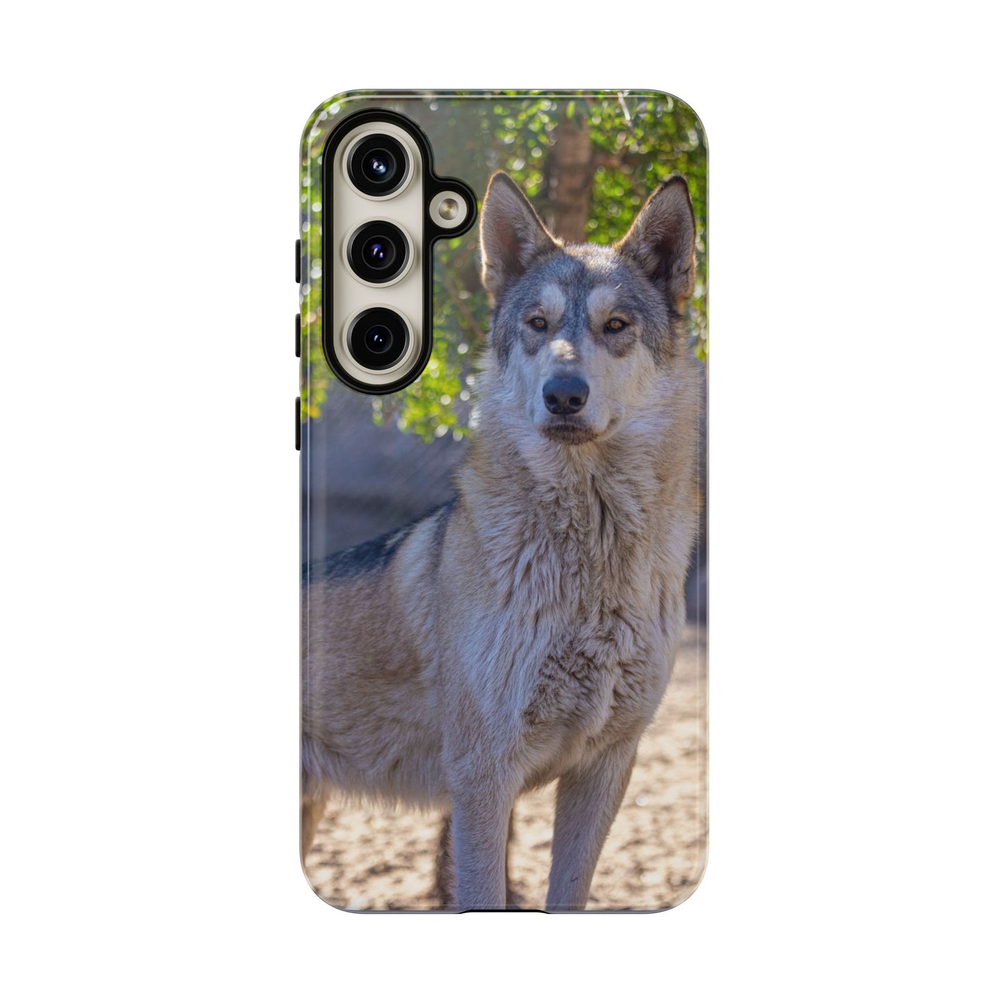 Rome Phone Case