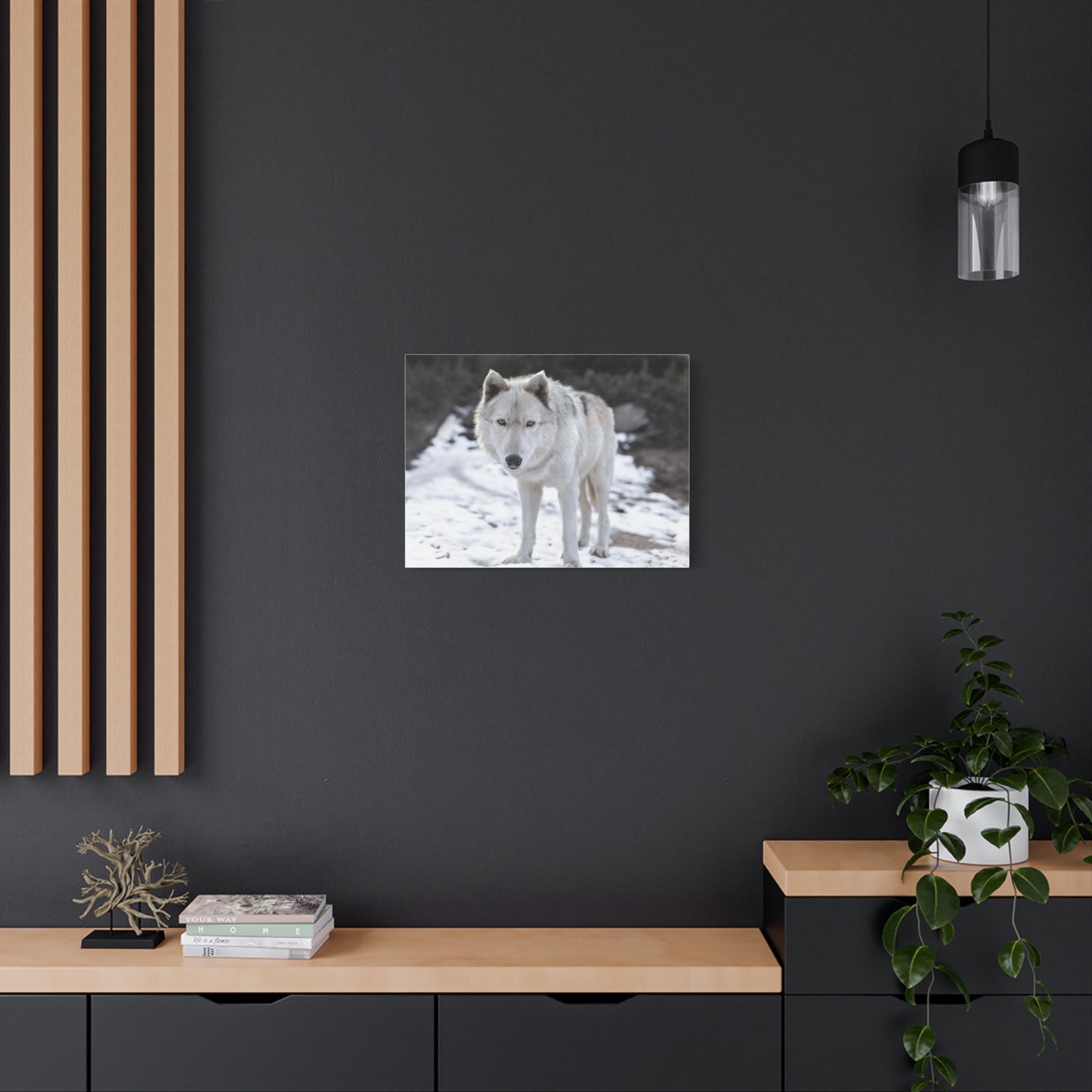 Leo Canvas Print