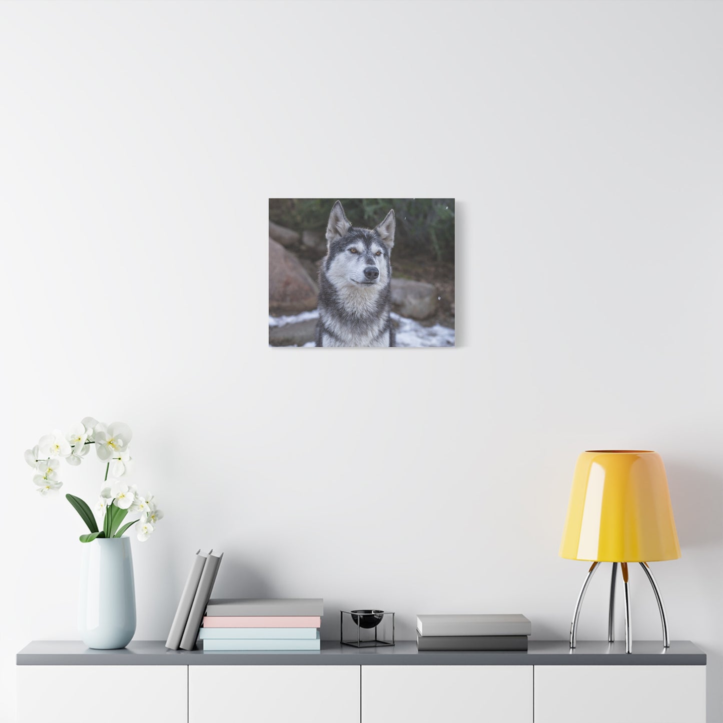 Luna Canvas Print