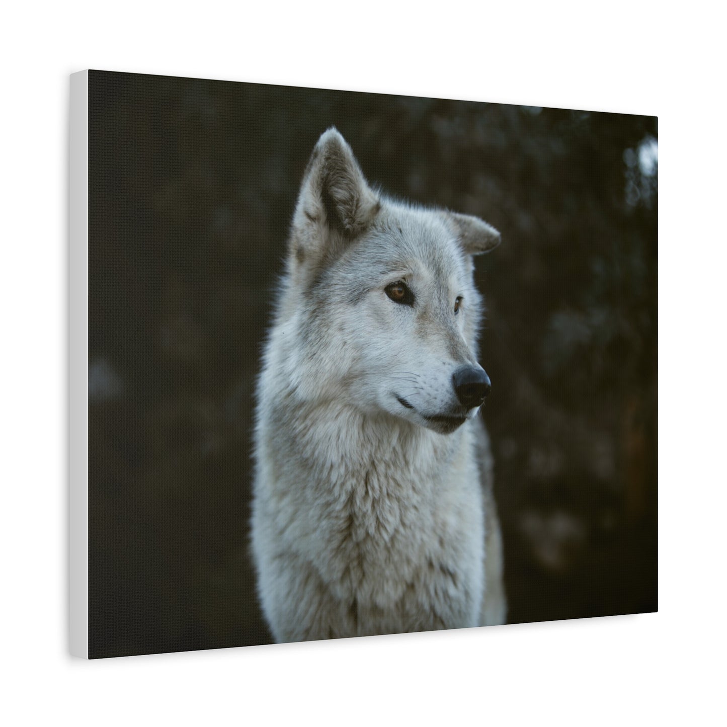 Willow Canvas Print