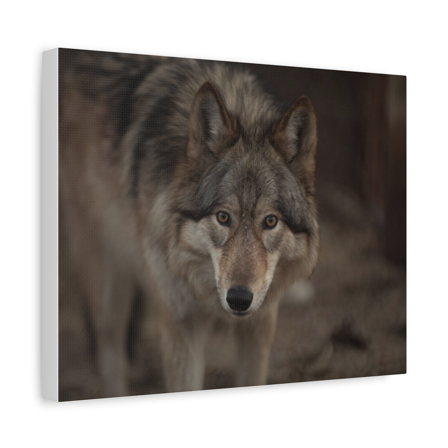 Nali Canvas Print
