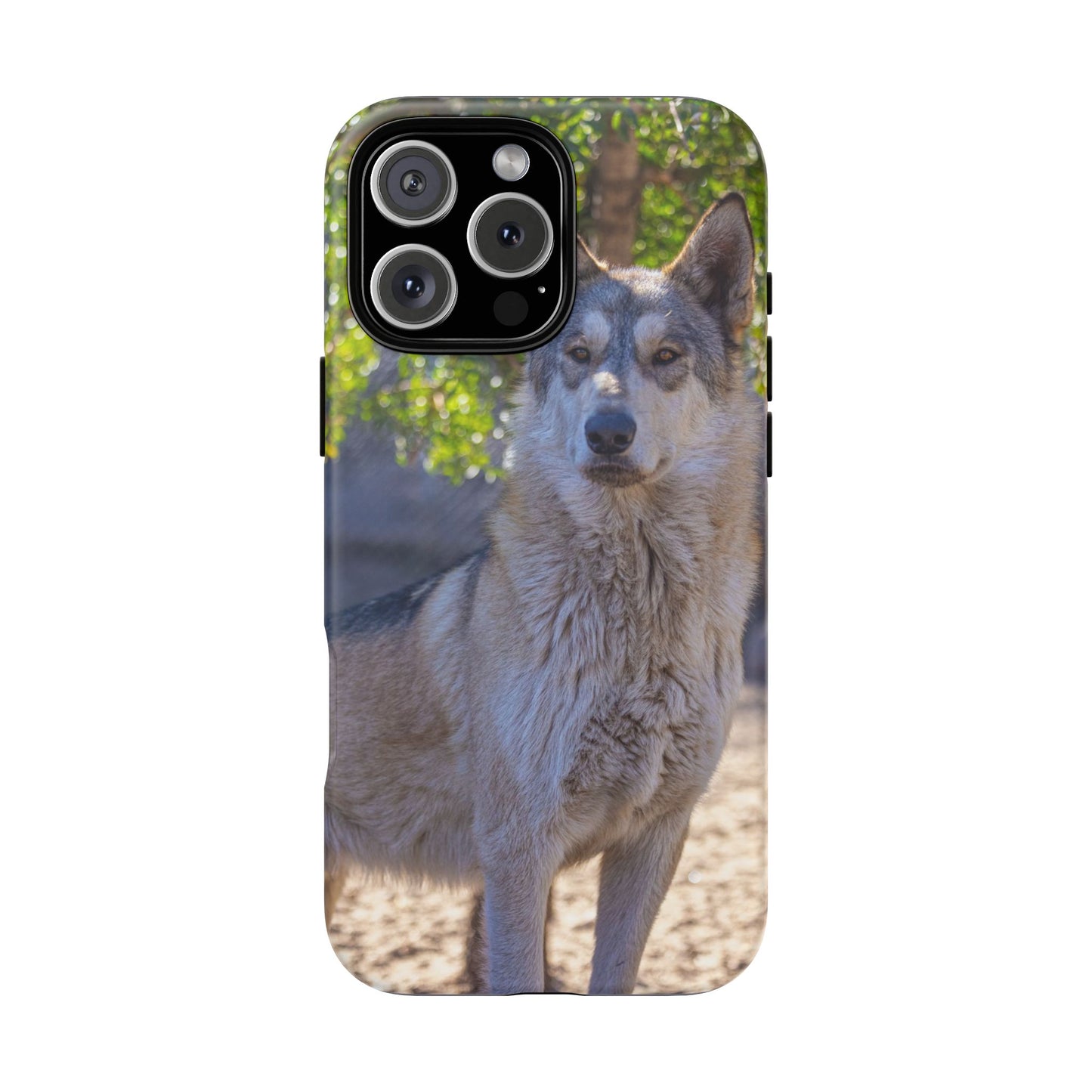 Rome Phone Case