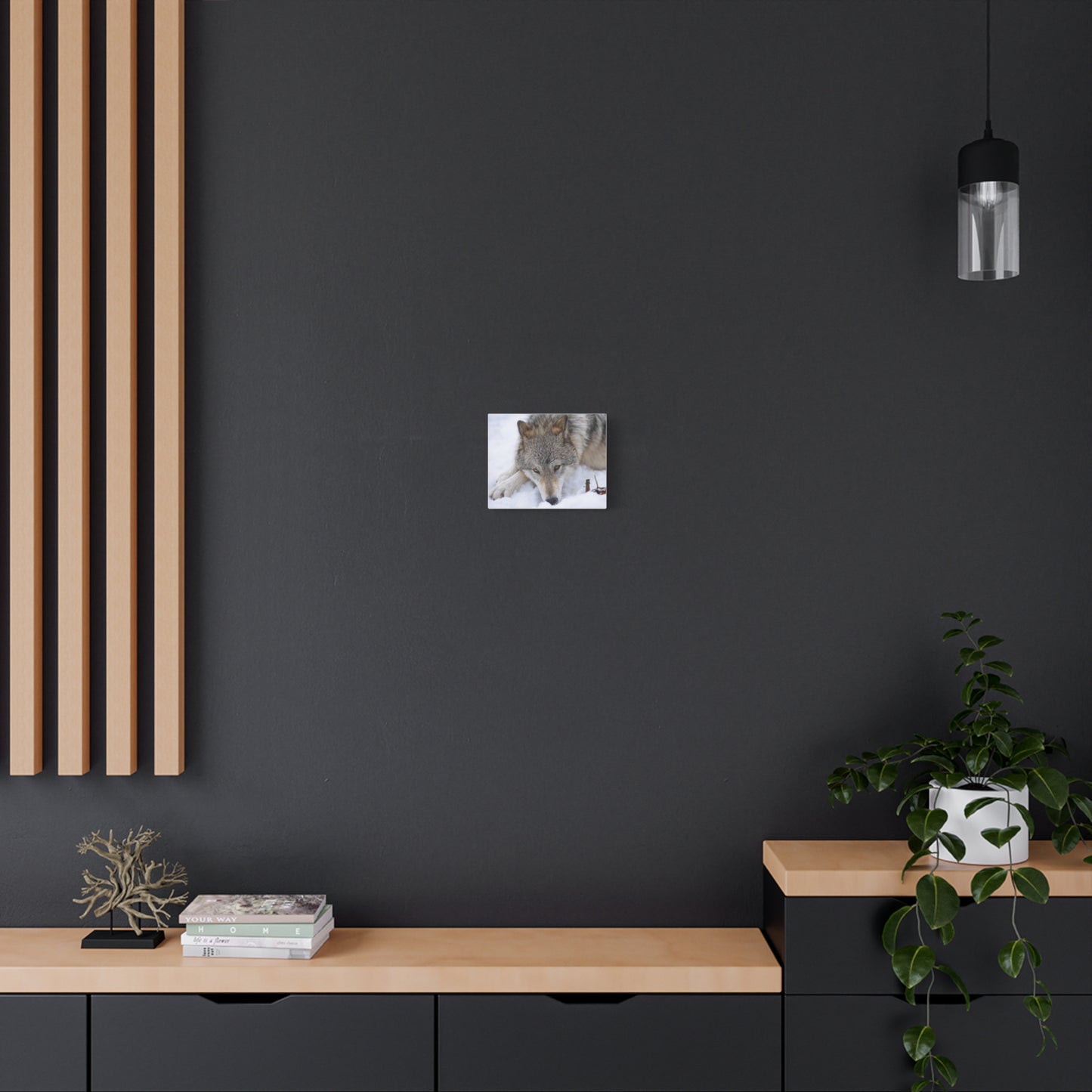 Nukumi Canvas Print
