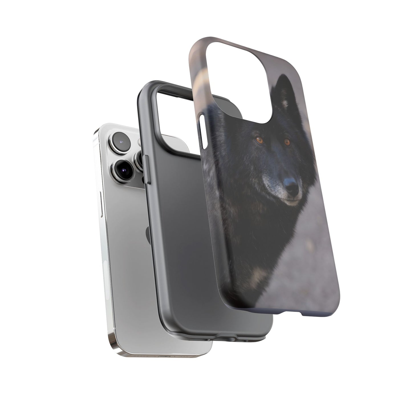 Lakota Phone Case