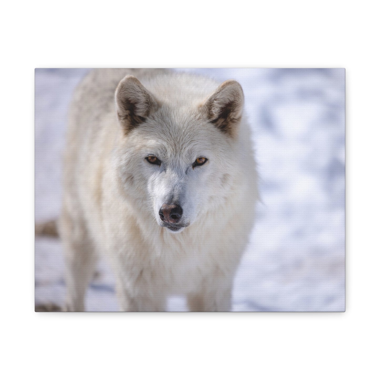 Charlee Canvas Print