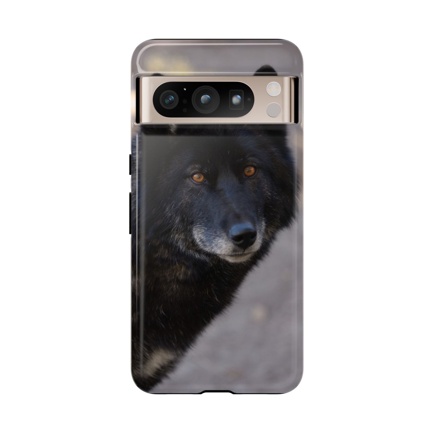 Lakota Phone Case