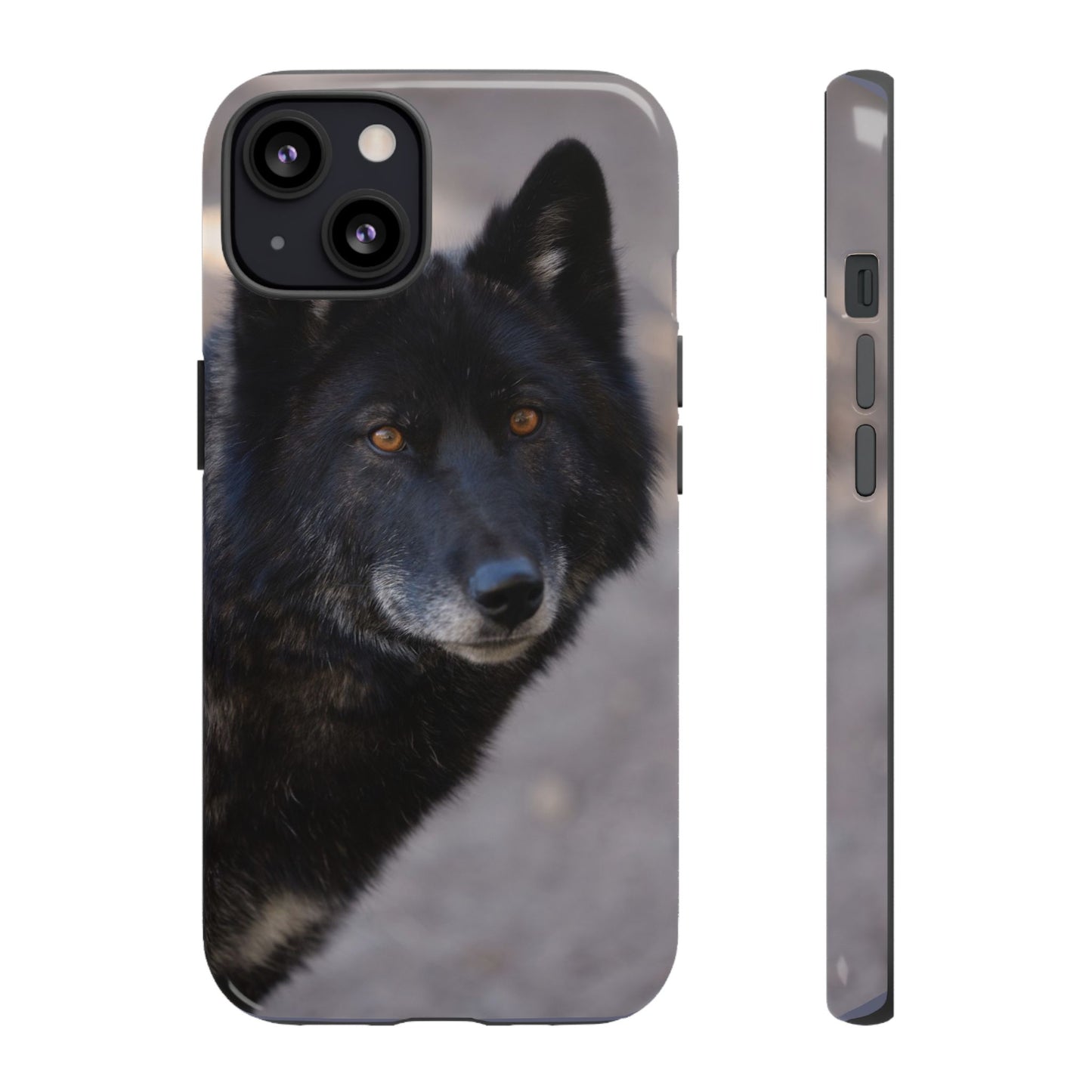 Lakota Phone Case