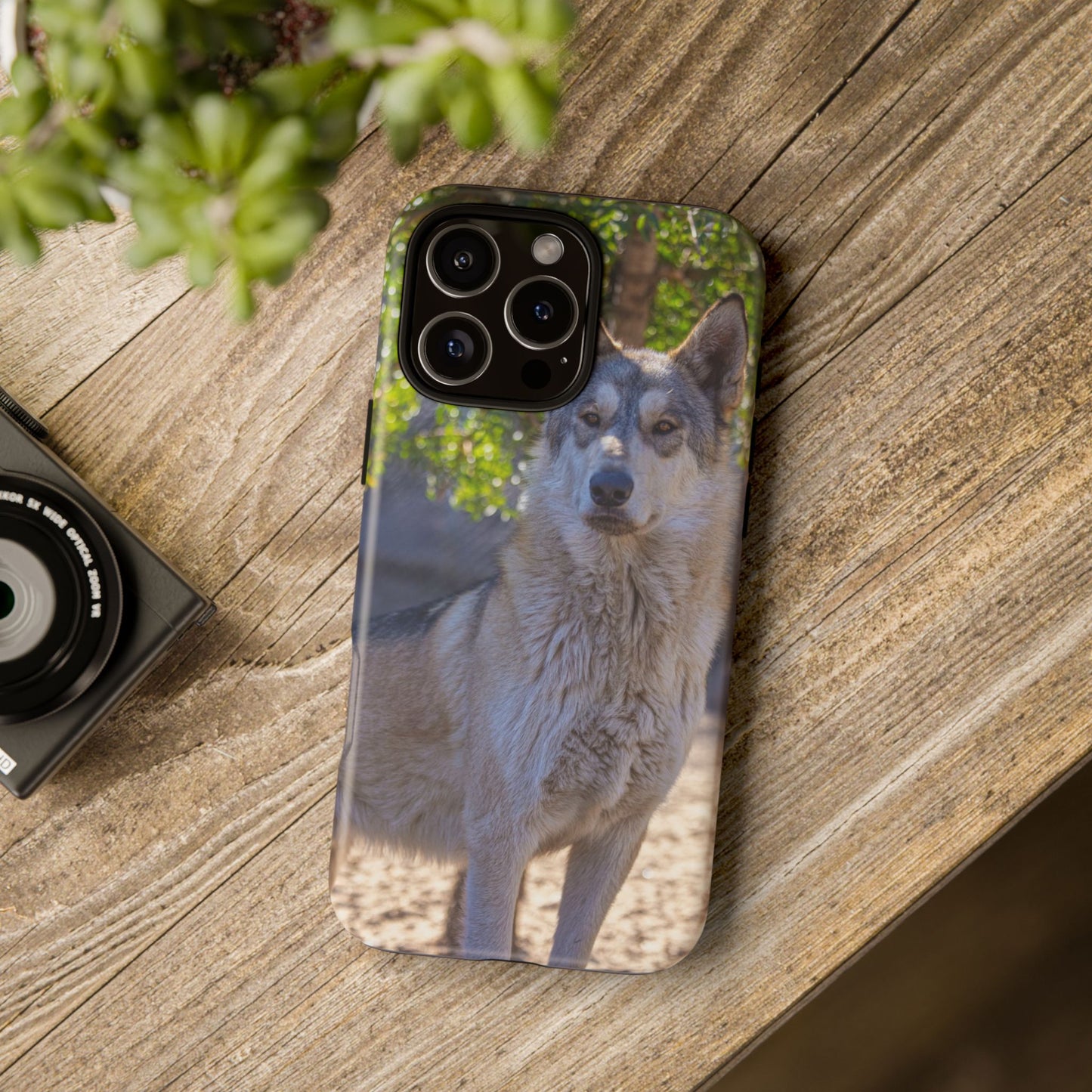 Rome Phone Case