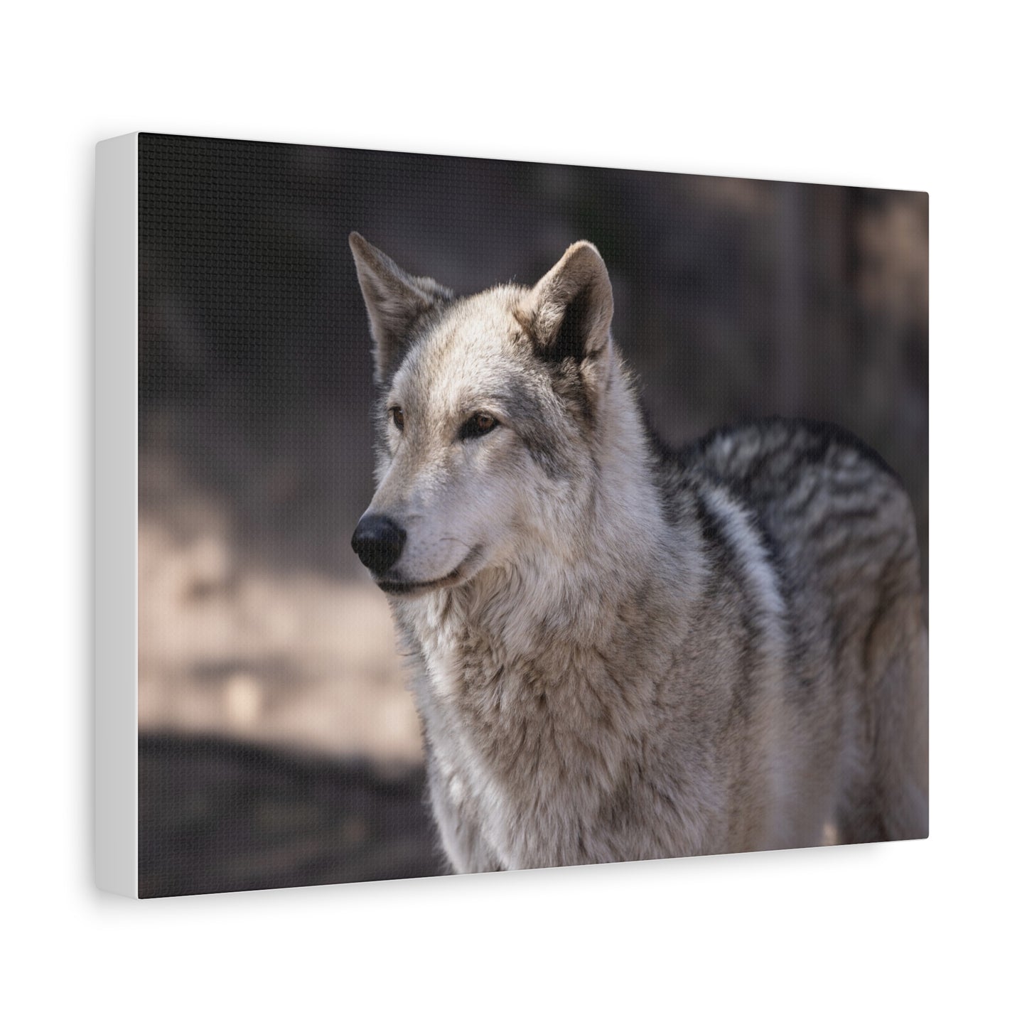 Torben Canvas Print