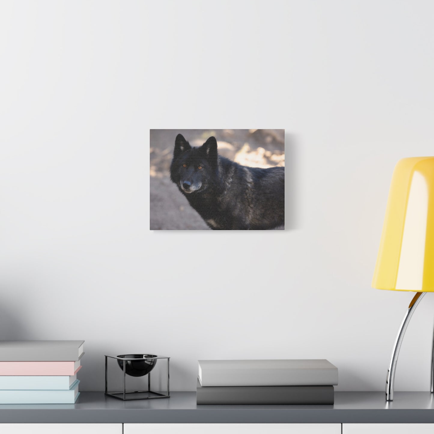 Lakota Canvas Print