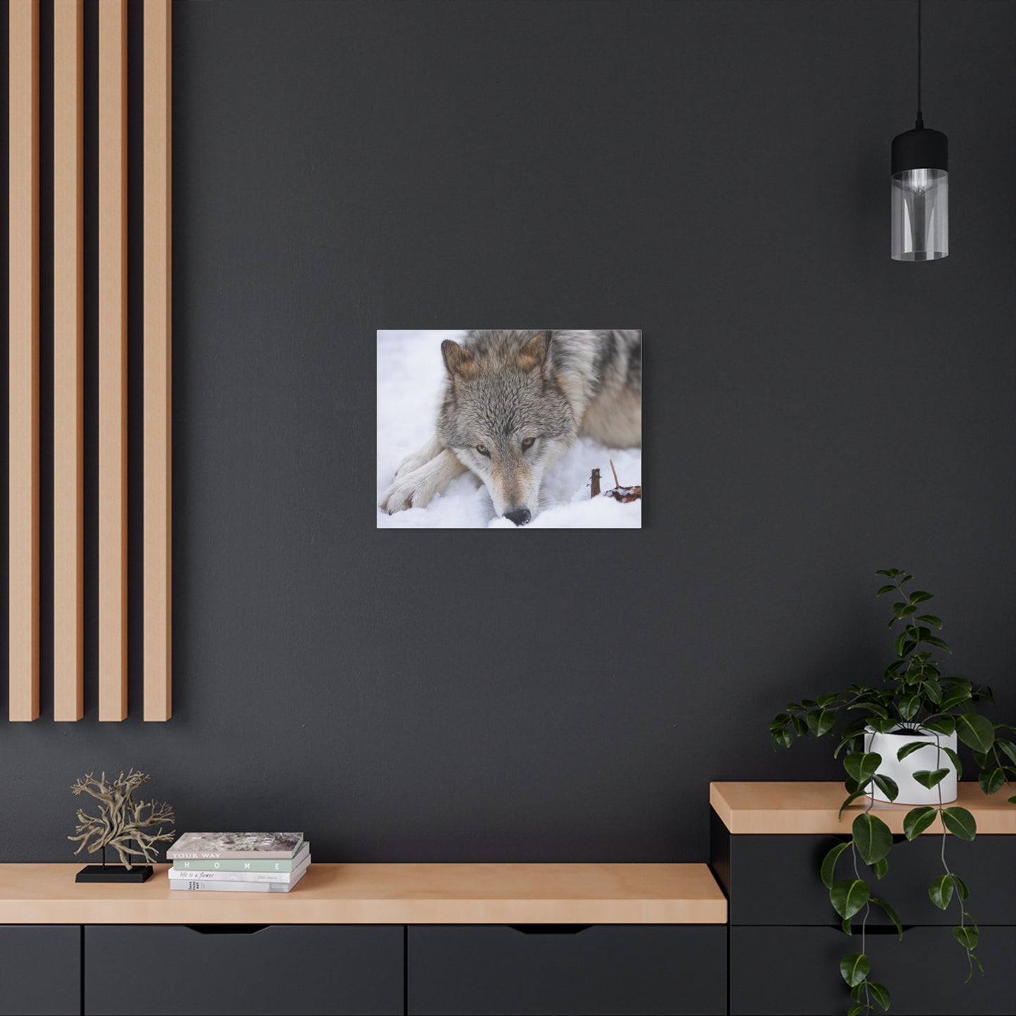 Nukumi Canvas Print