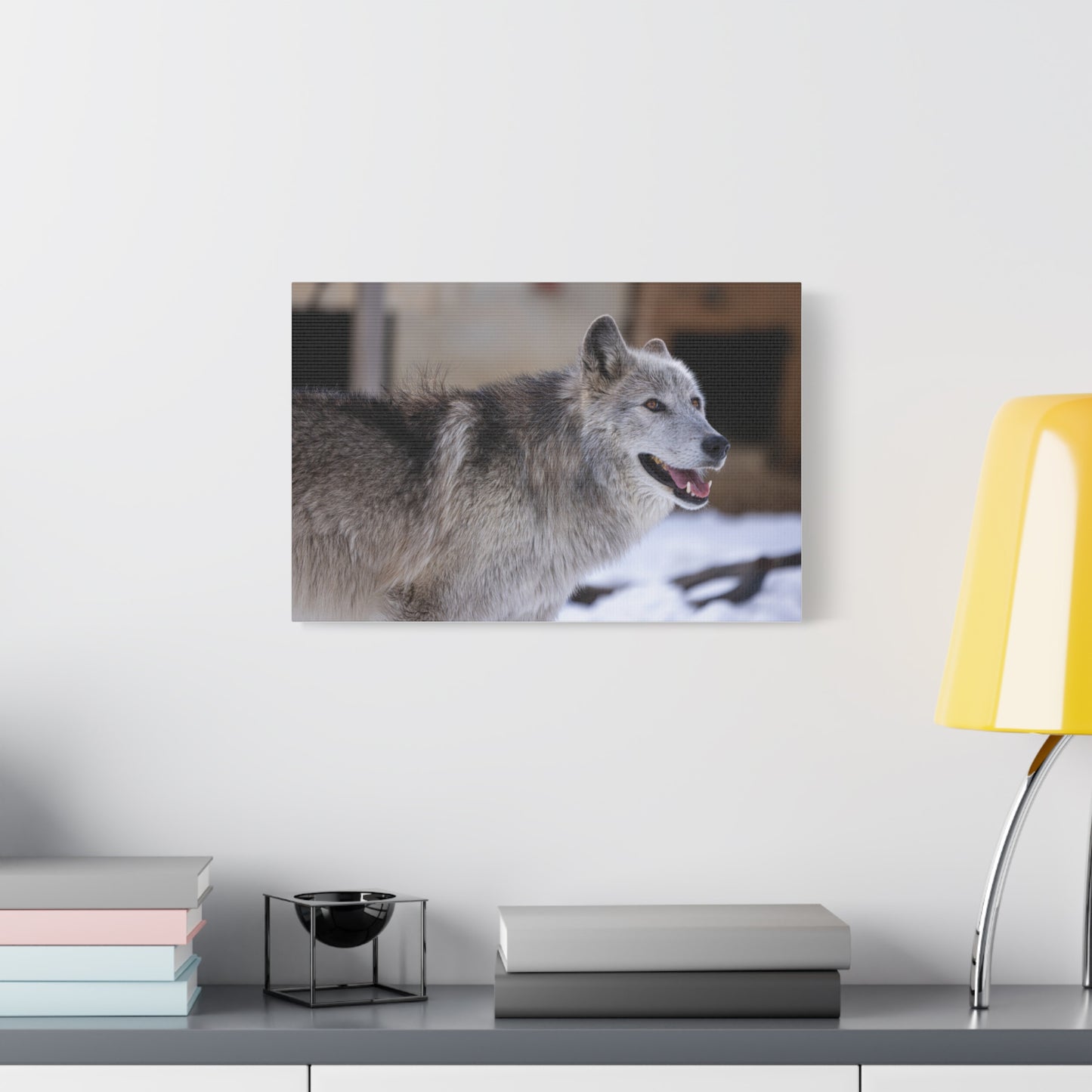 Daisy Canvas print