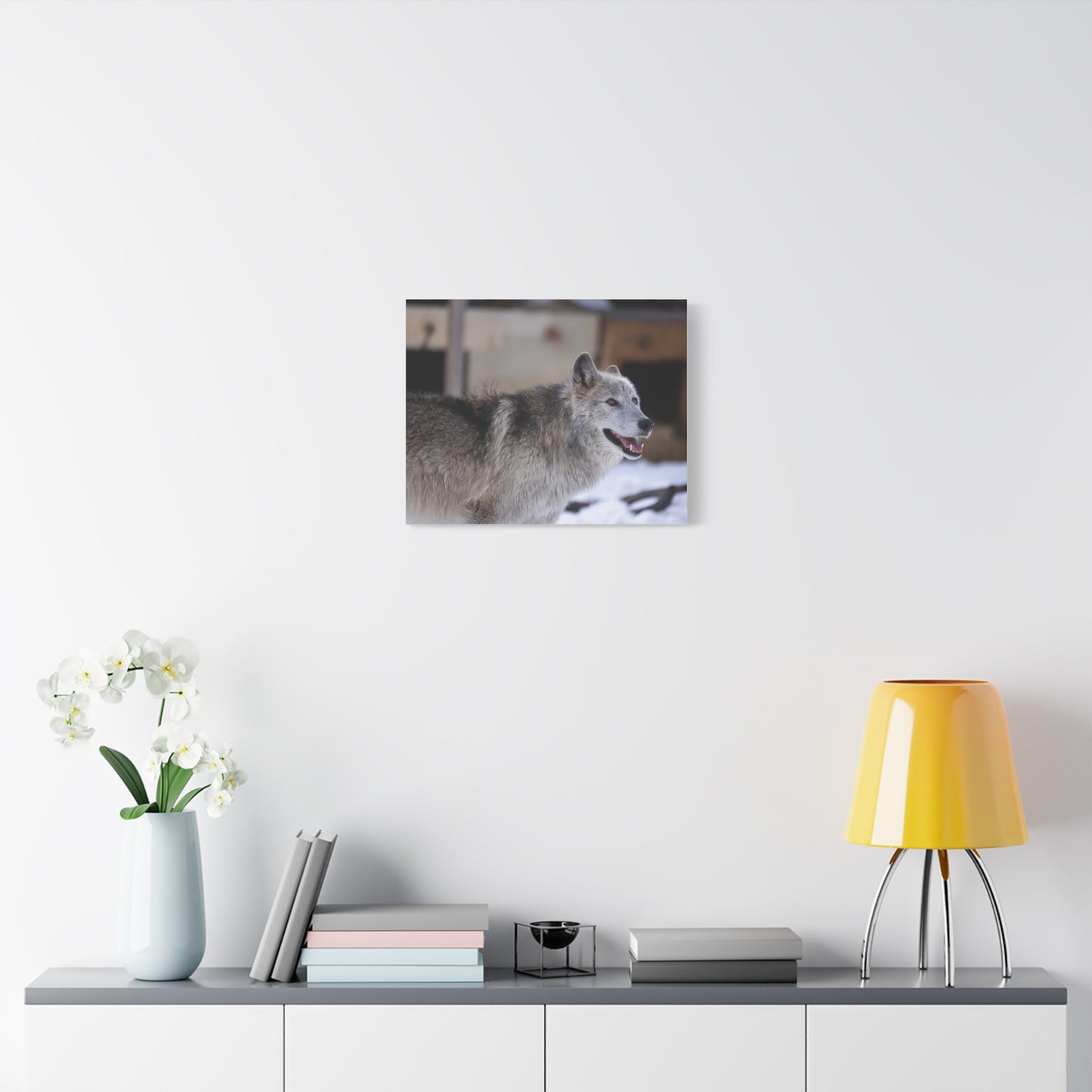 Daisy Canvas print