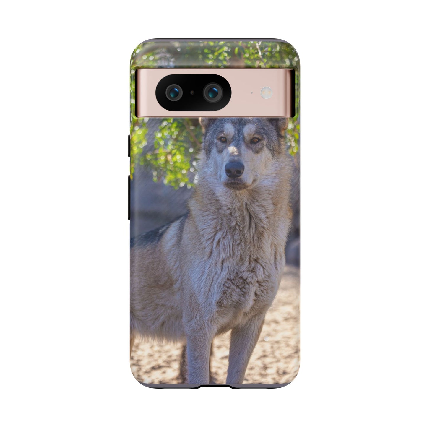 Rome Phone Case