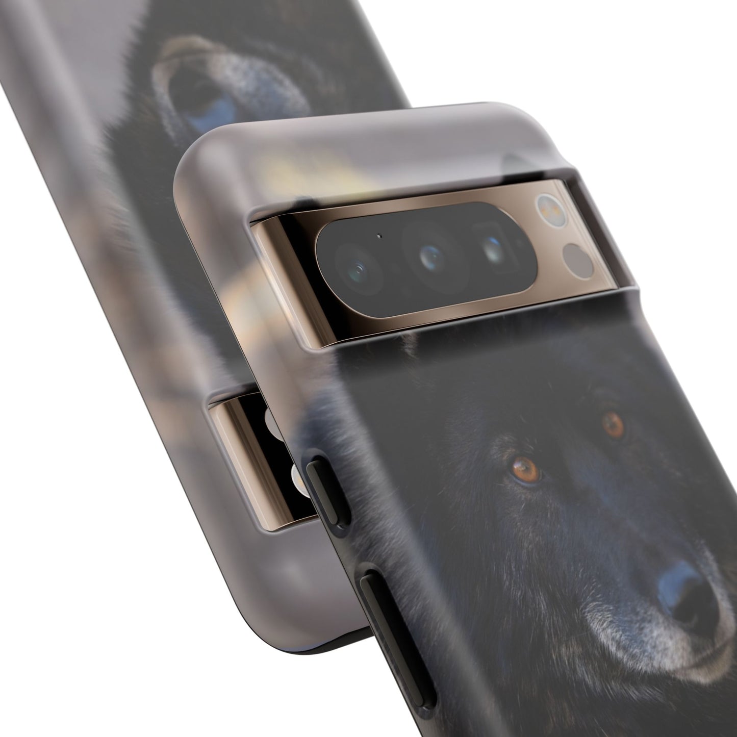 Lakota Phone Case