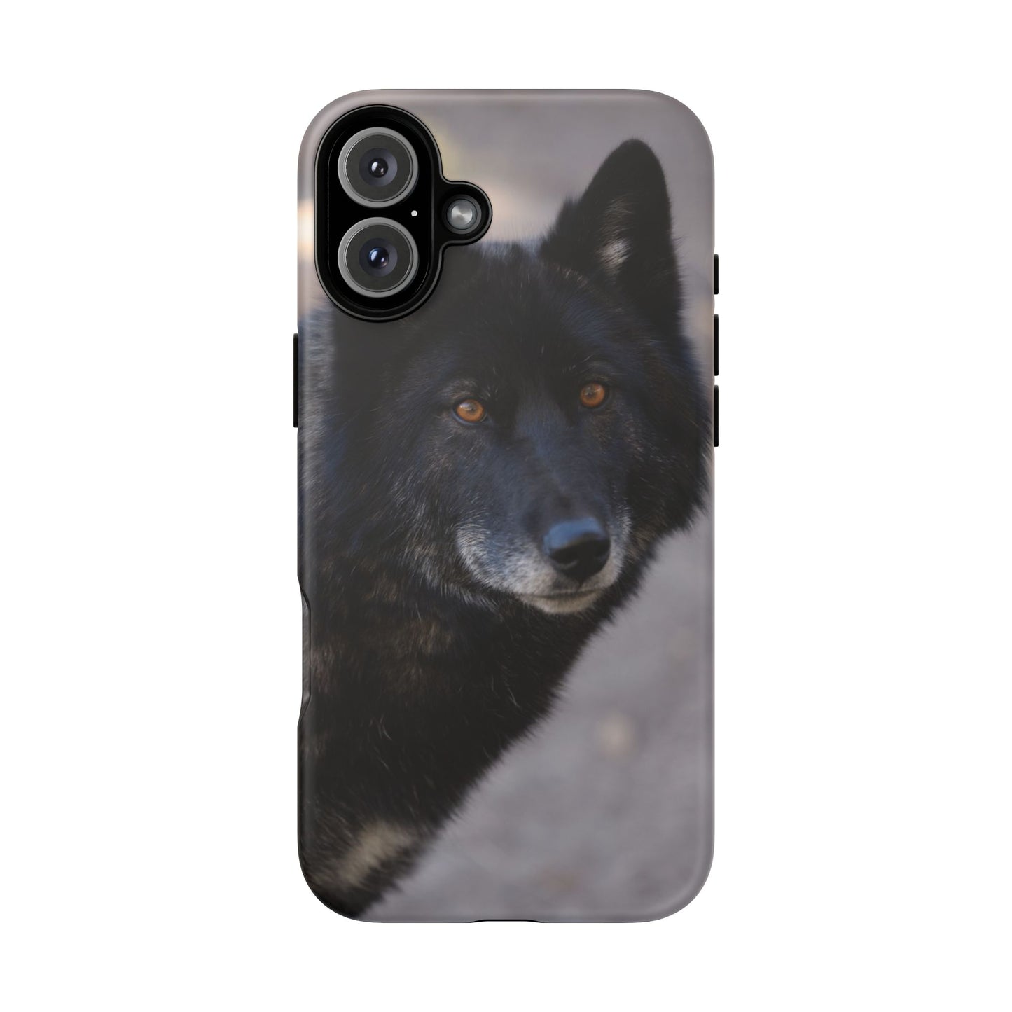 Lakota Phone Case