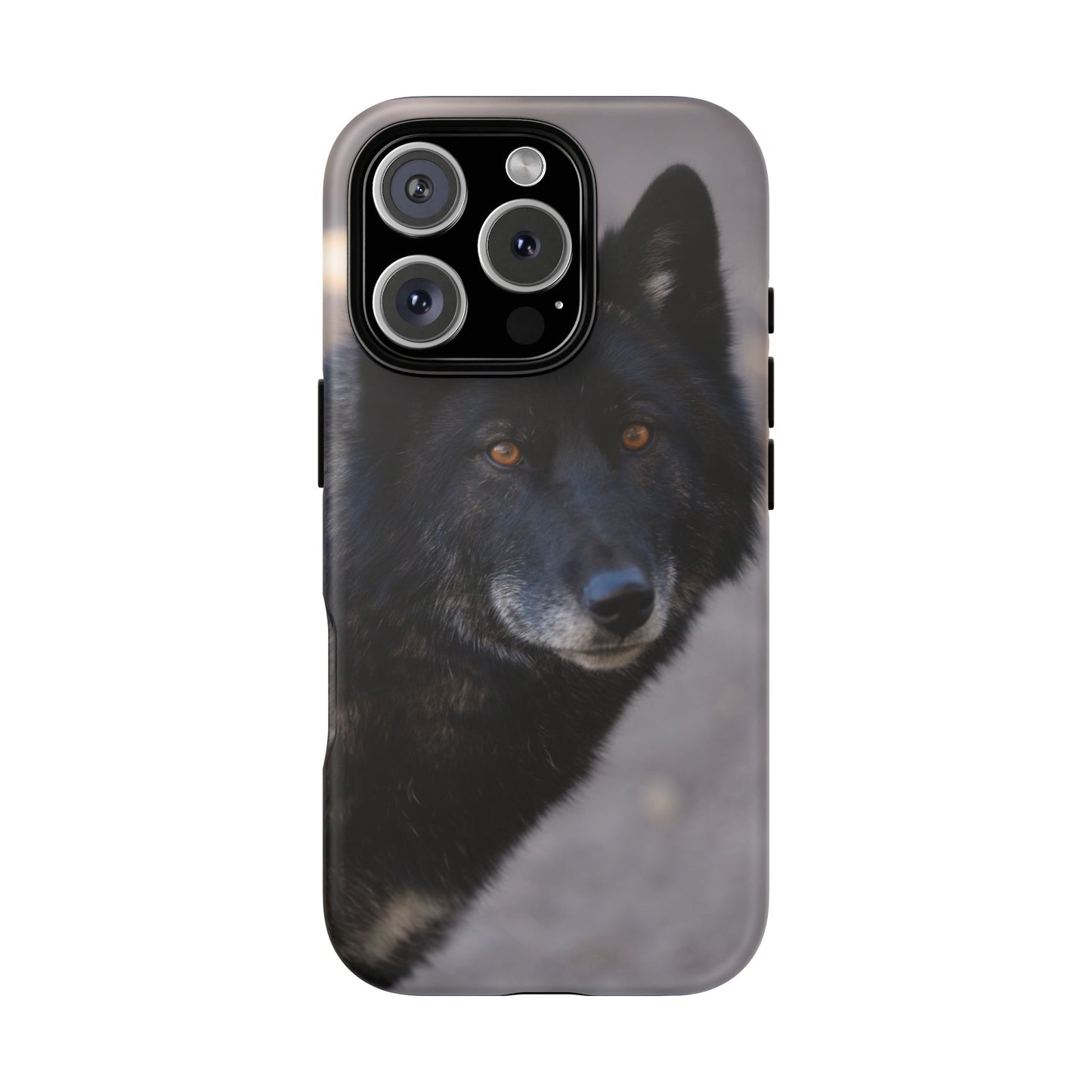 Lakota Phone Case