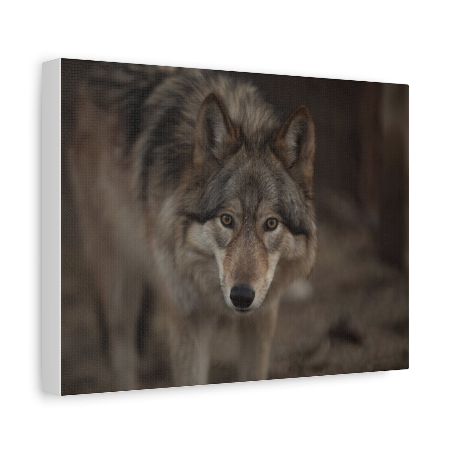 Nali Canvas Print