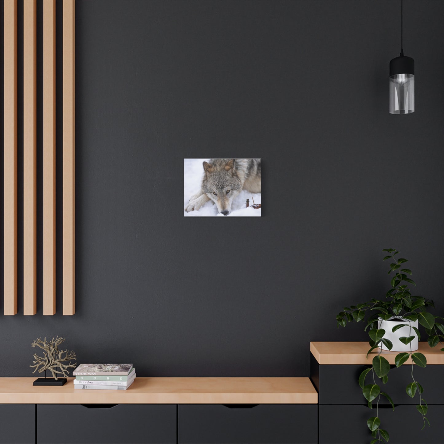 Nukumi Canvas Print