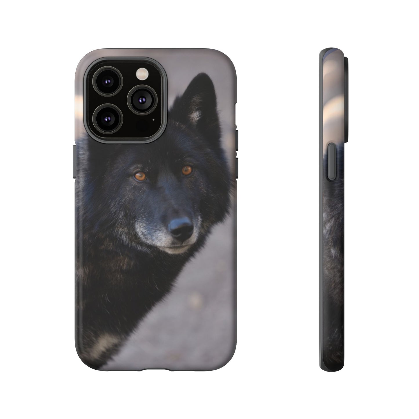 Lakota Phone Case