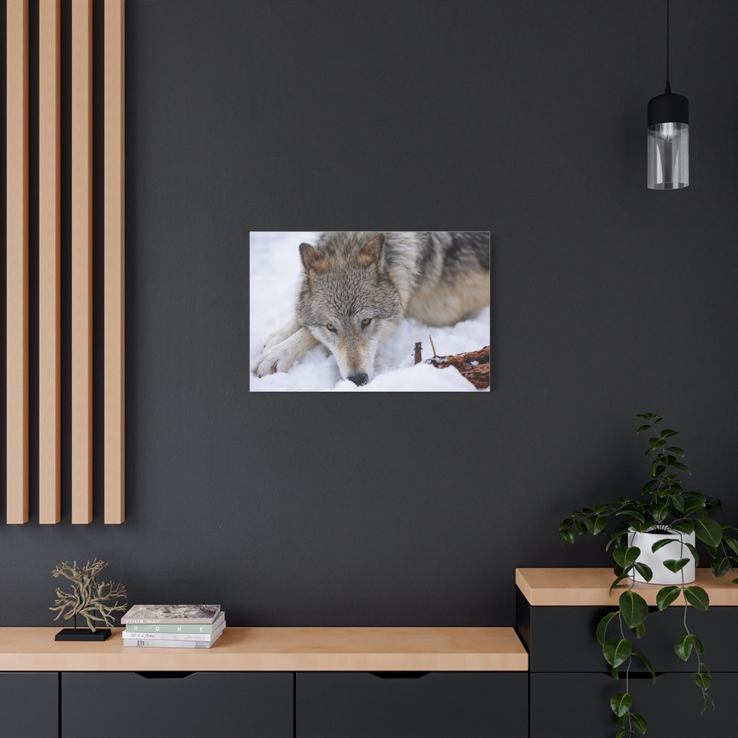 Nukumi Canvas Print