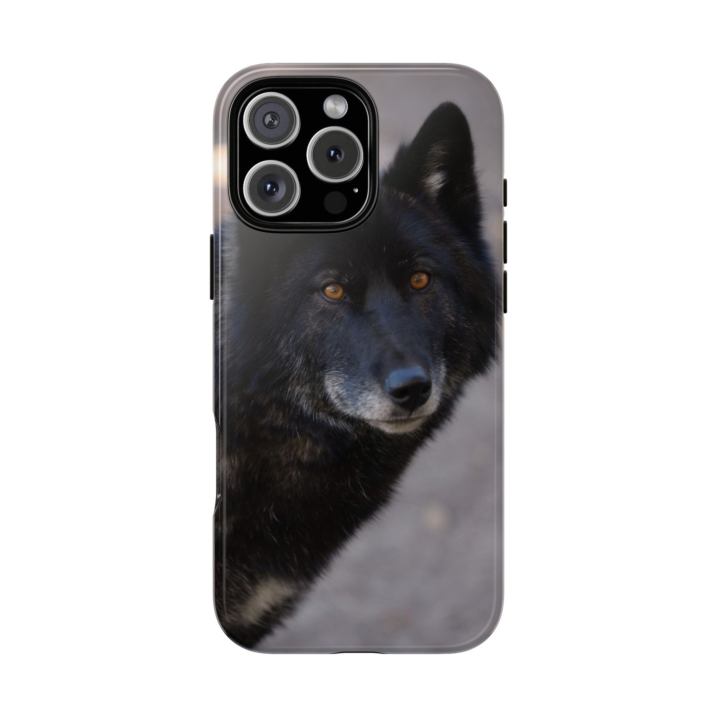 Lakota Phone Case