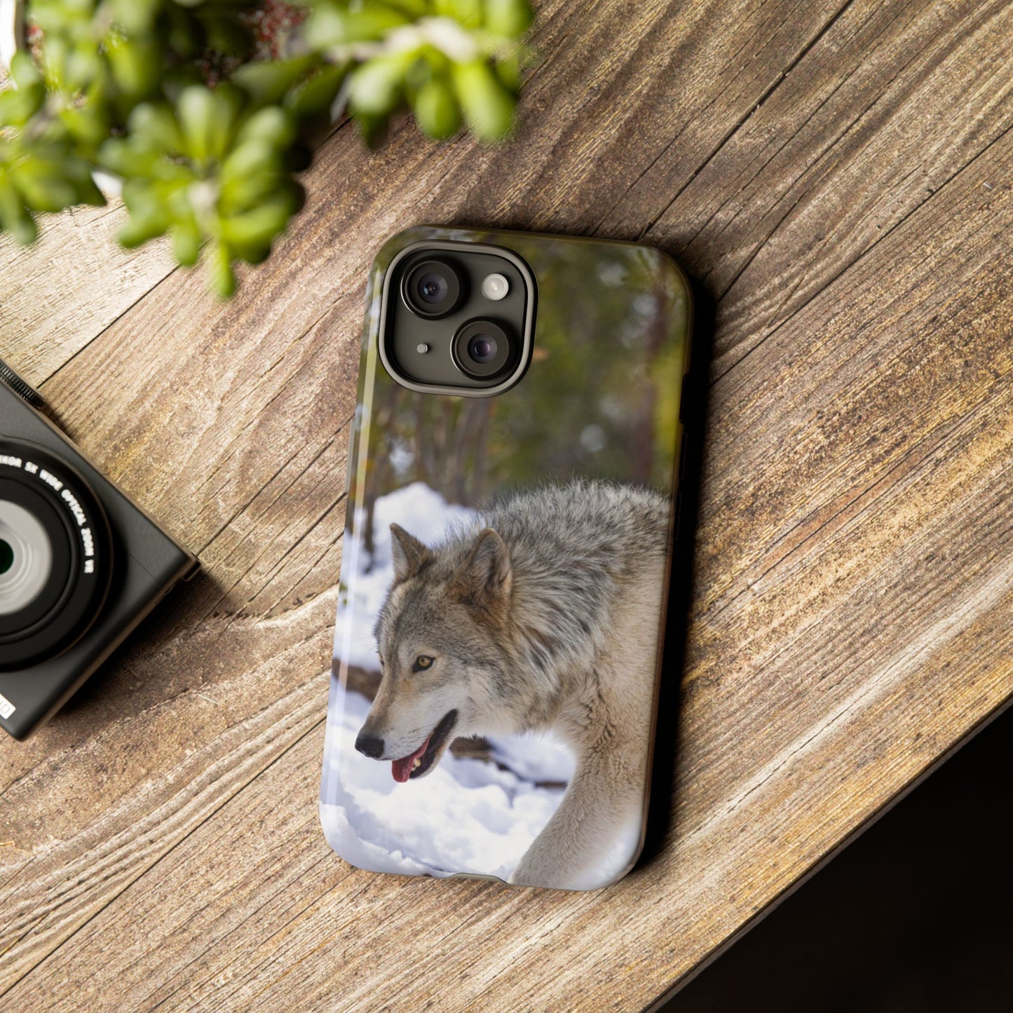 Bodhi Phone Case