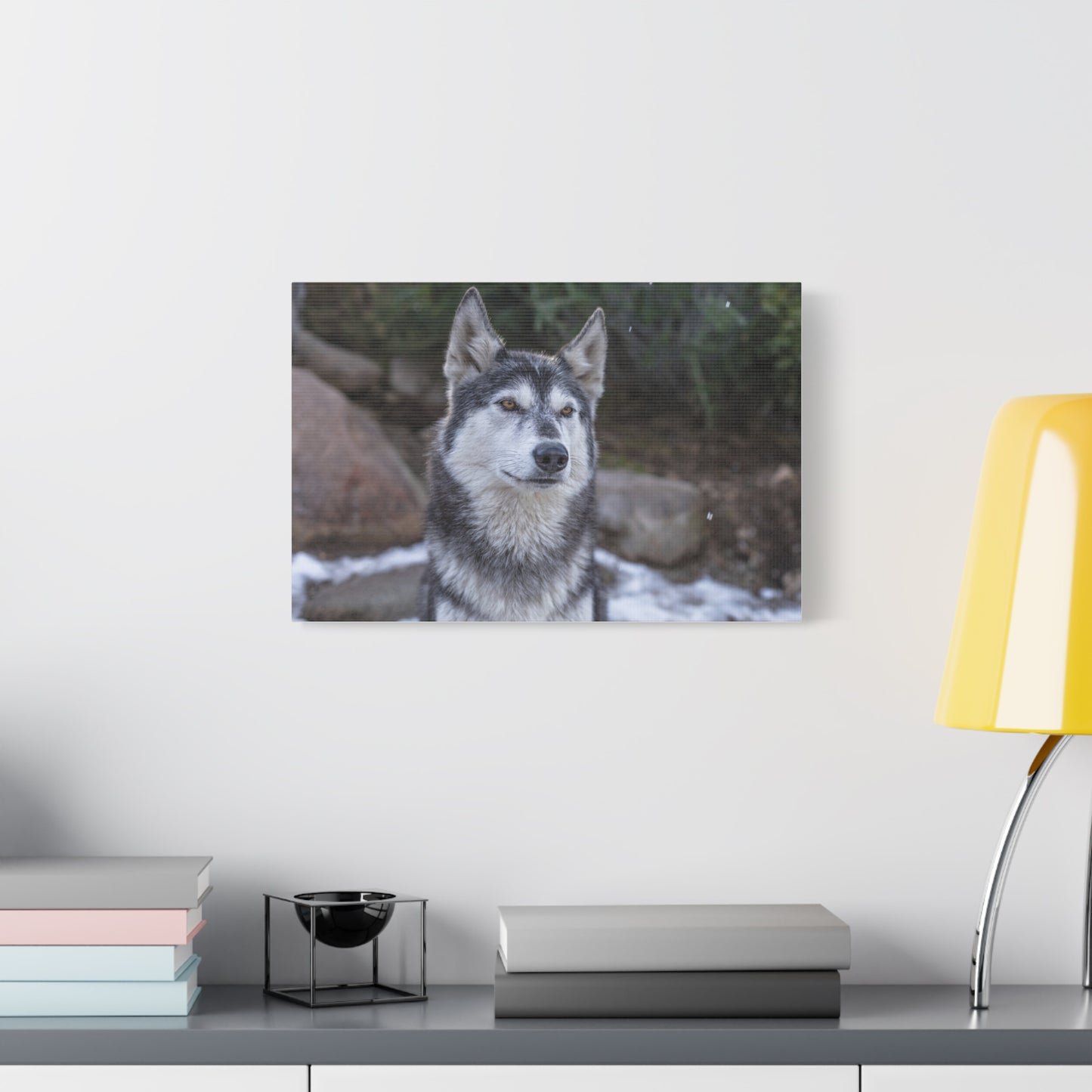 Luna Canvas Print