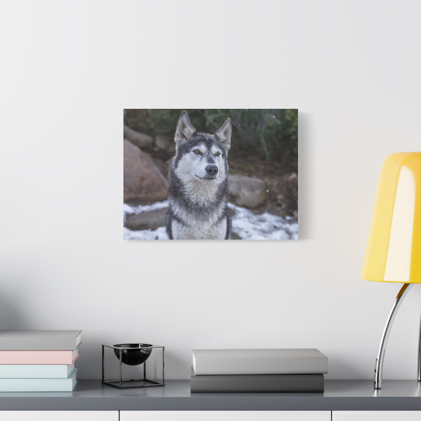 Luna Canvas Print