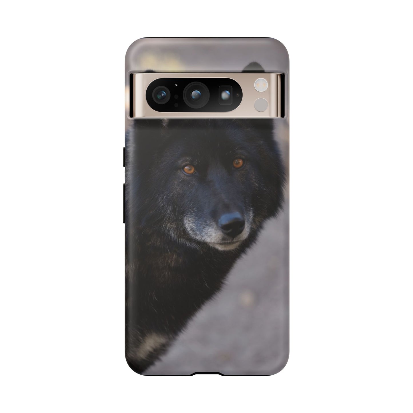 Lakota Phone Case