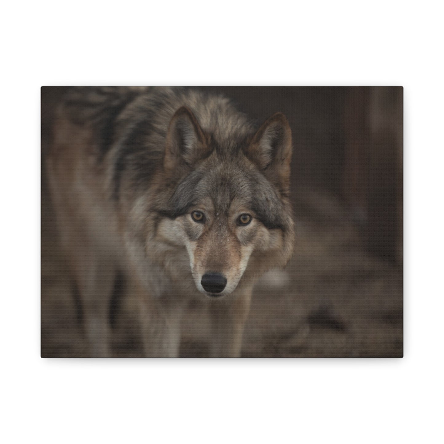 Nali Canvas Print