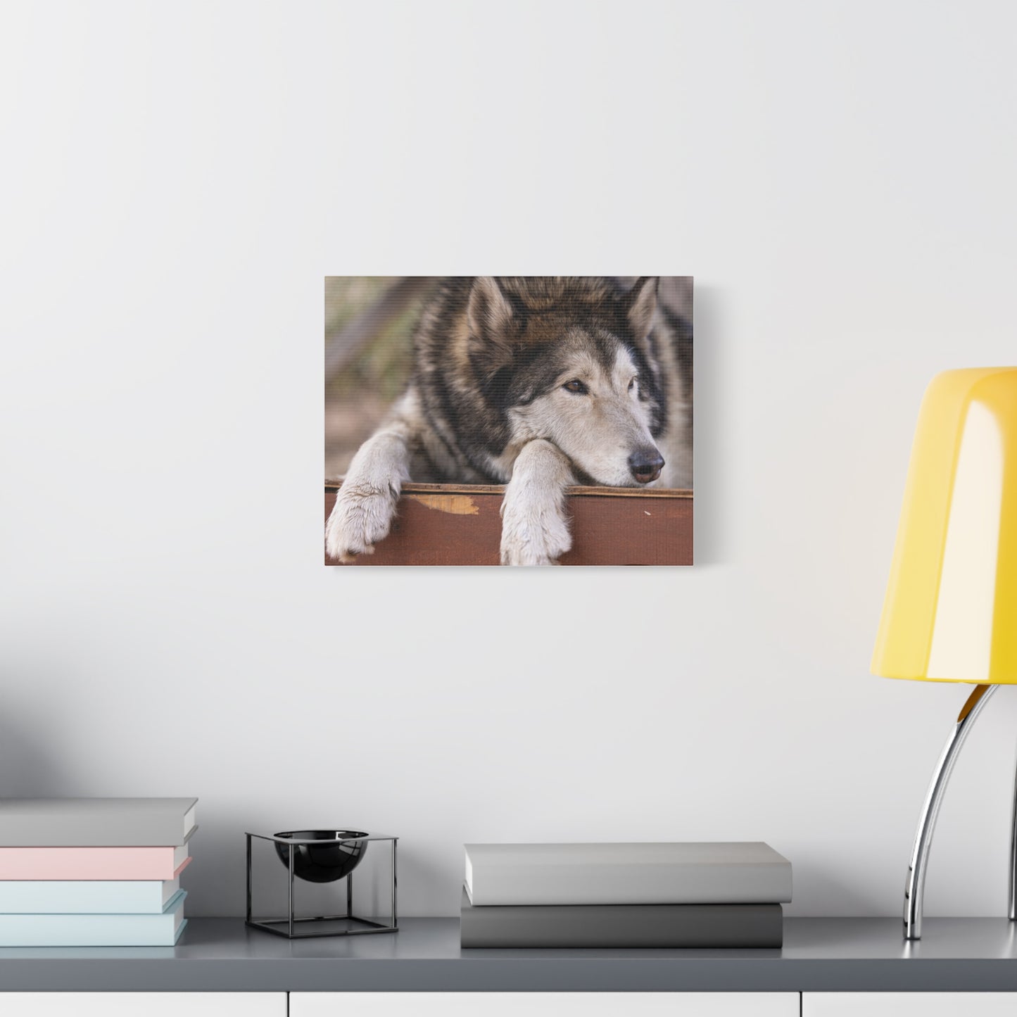 Wolfee Canvas Print