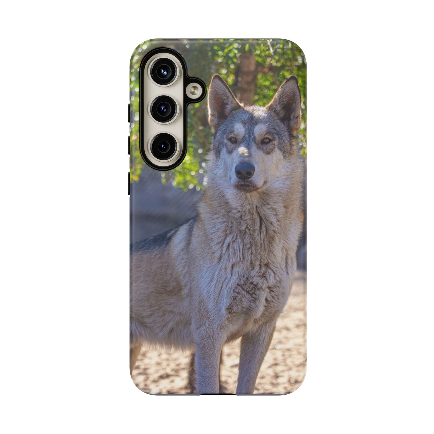 Rome Phone Case