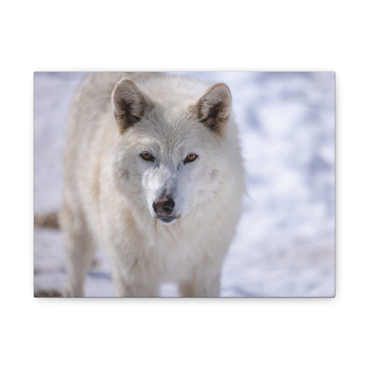 Charlee Canvas Print