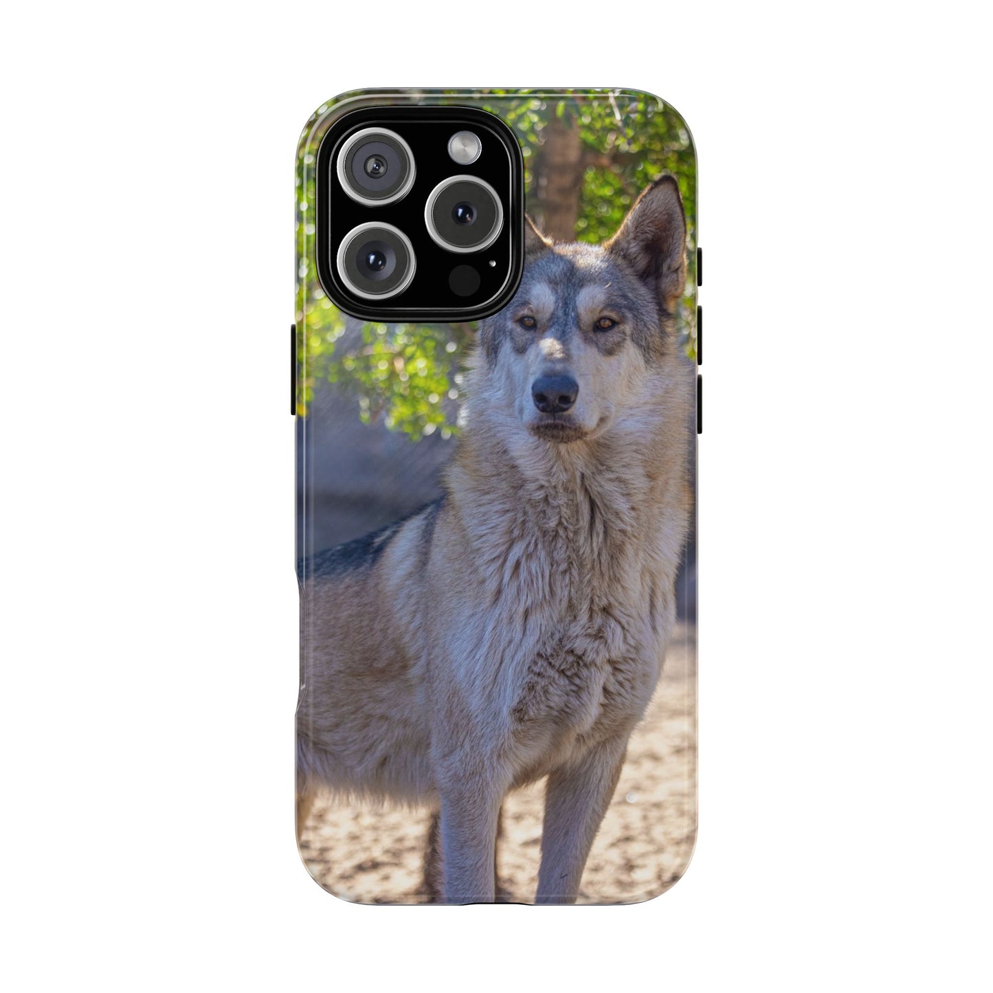 Rome Phone Case