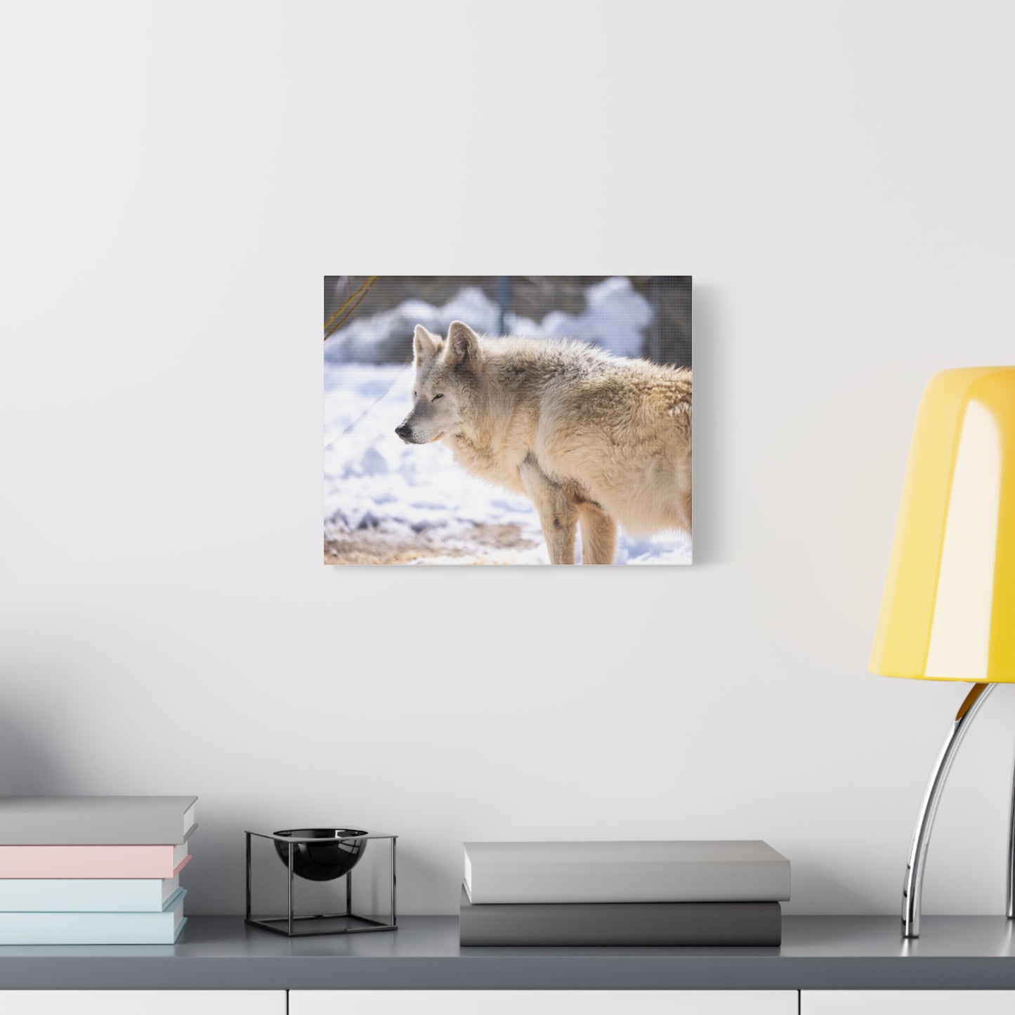 Max Canvas Print